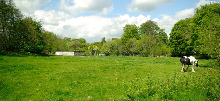 The Grounds 2013